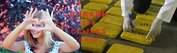 a pvp Богданович
