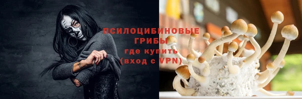 первитин Богородск
