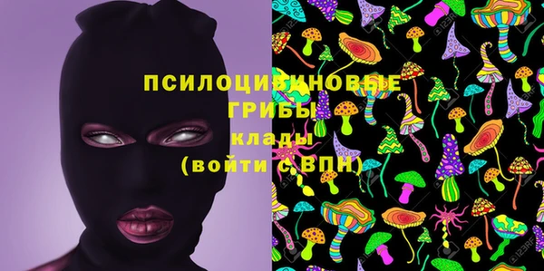 a pvp Богданович