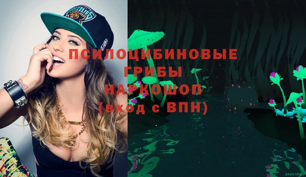 a pvp Богданович