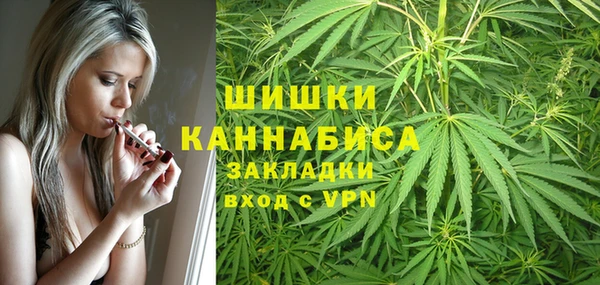 a pvp Богданович